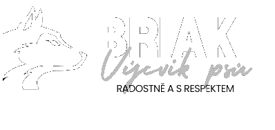 Logo společnosti BRIAK zabývající se výcvikem a výchovou psů Praha a Střední Čechy