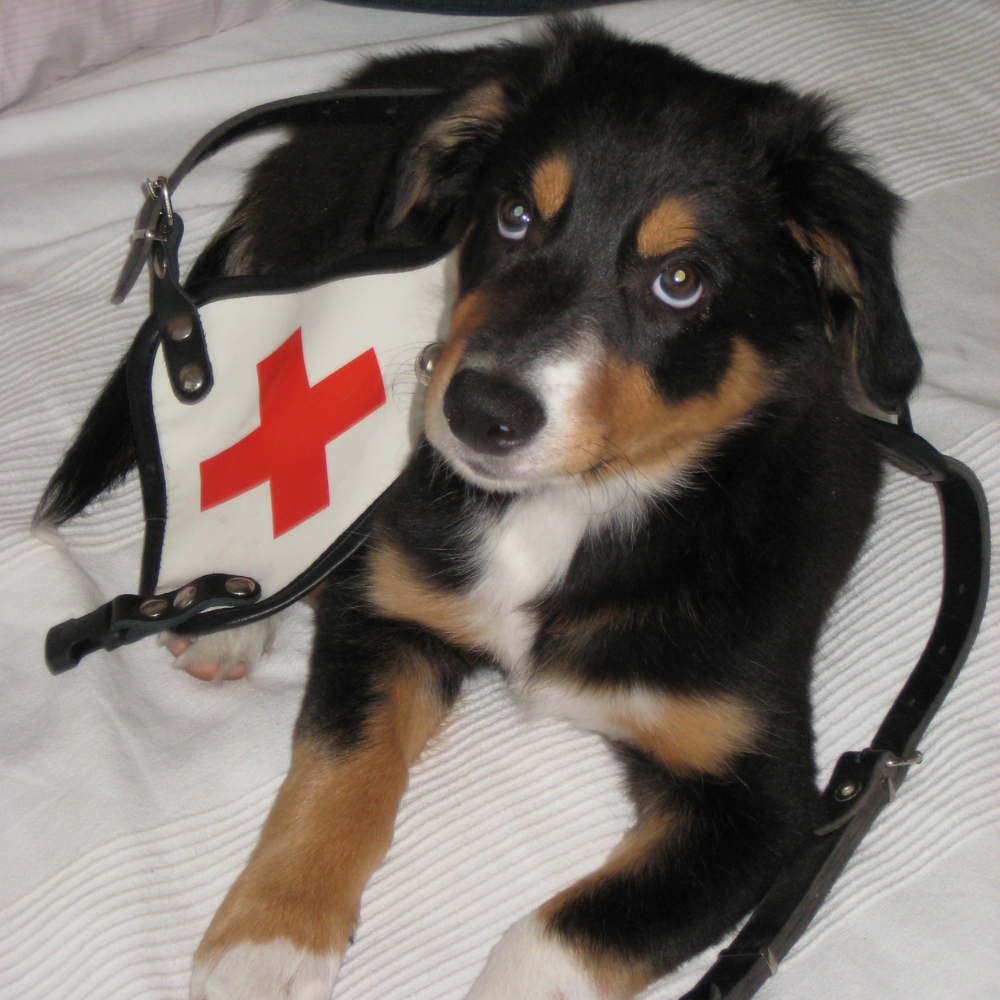 Balíček Rychlá pomoc