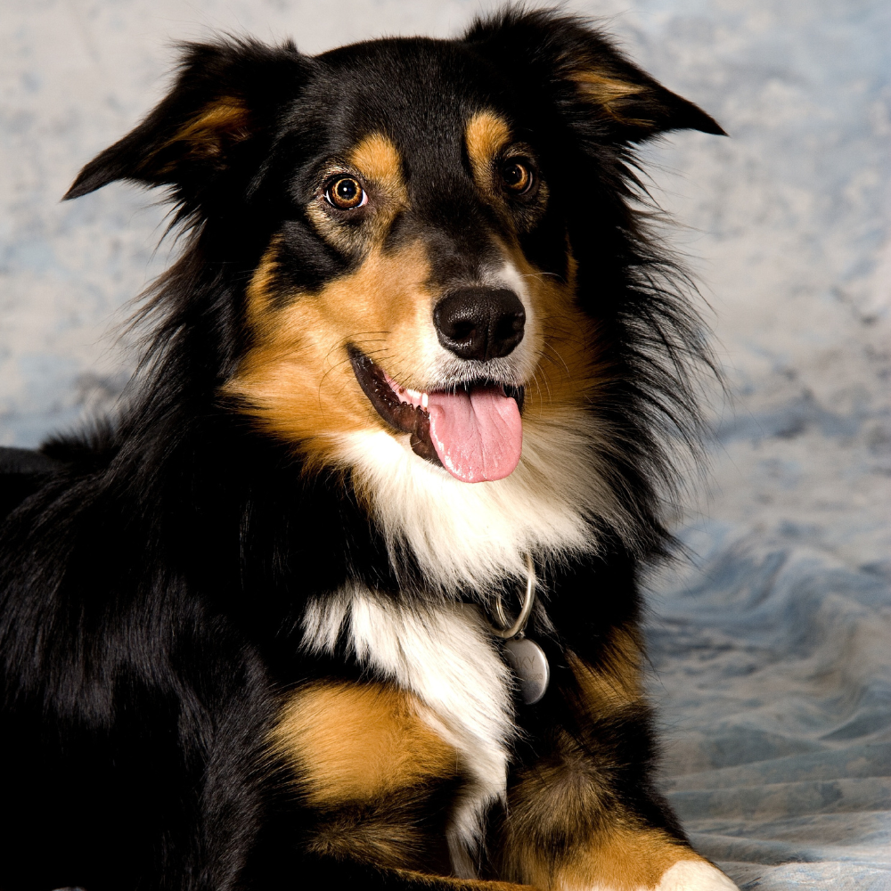 Balíček VIP péče